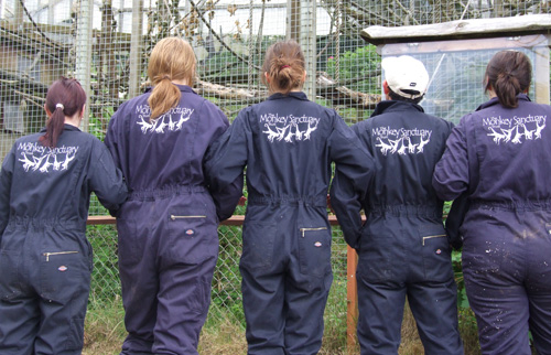 Staff and volunteers in the Dickies coveralls.