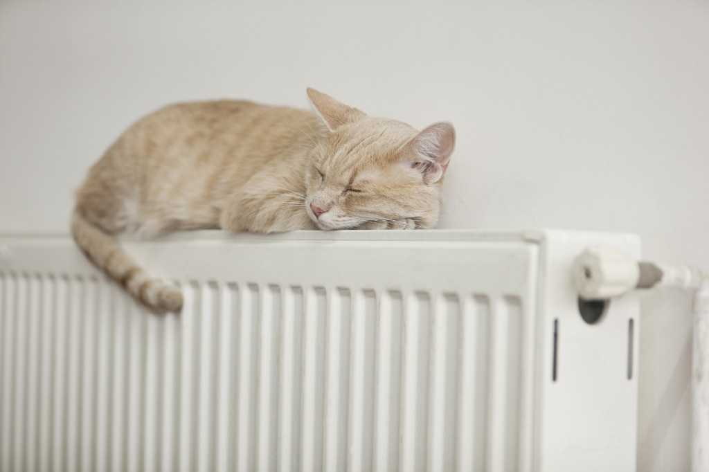 Show your radiator some TLC to save money this winter... Heating